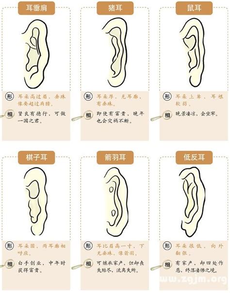 耳相女|十六种耳朵面相图文分析三六风水网